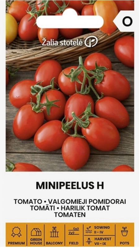Pomidor Minipeelus H odmiana drobnoowocowa przeznaczona przede wszystkim do uprawy w donicach nasiona 0,1 g Žalia stotelė sklep rajogrodnika